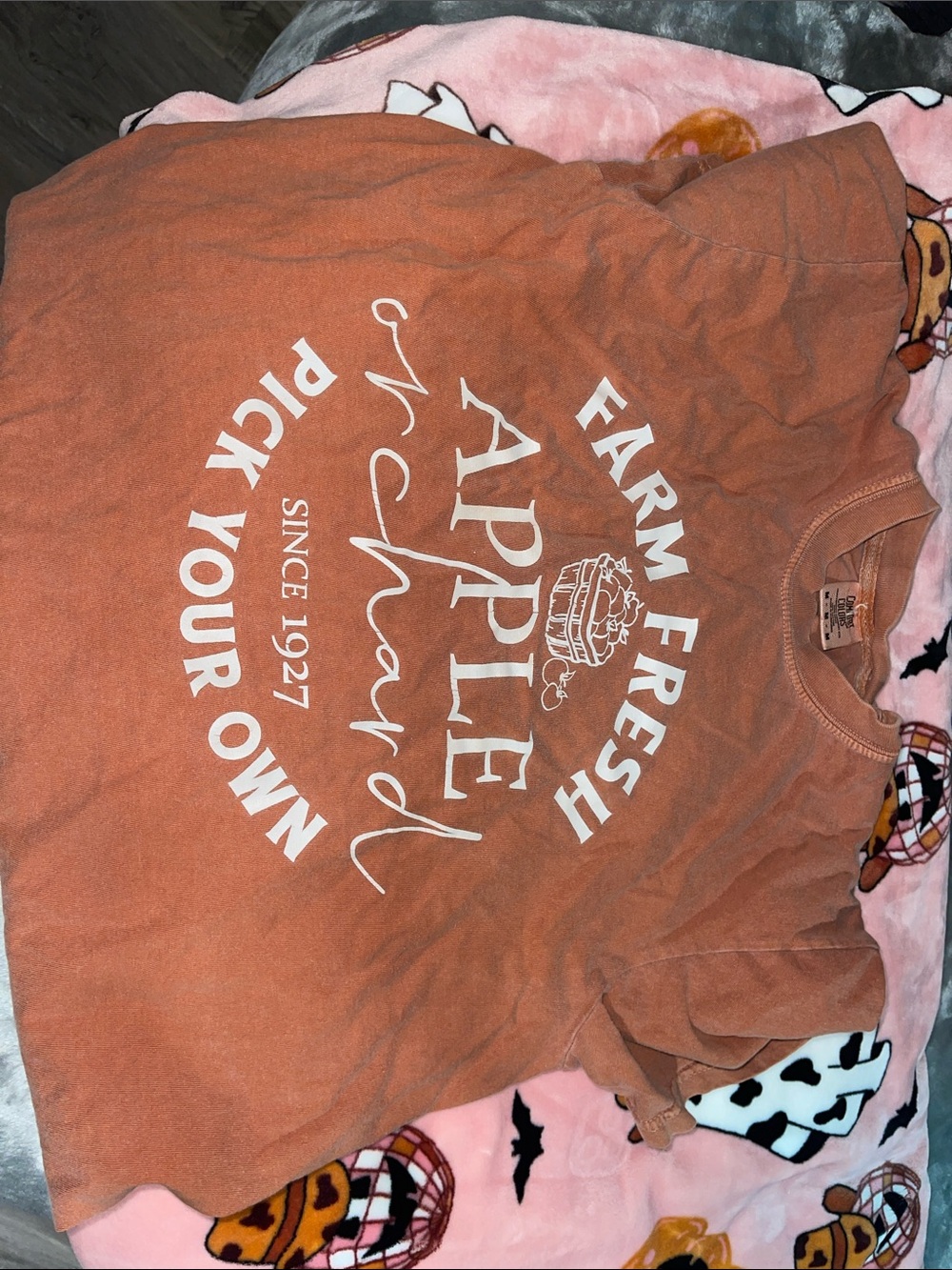 Comfort Colors Soft Rust Crewneck Tee - M